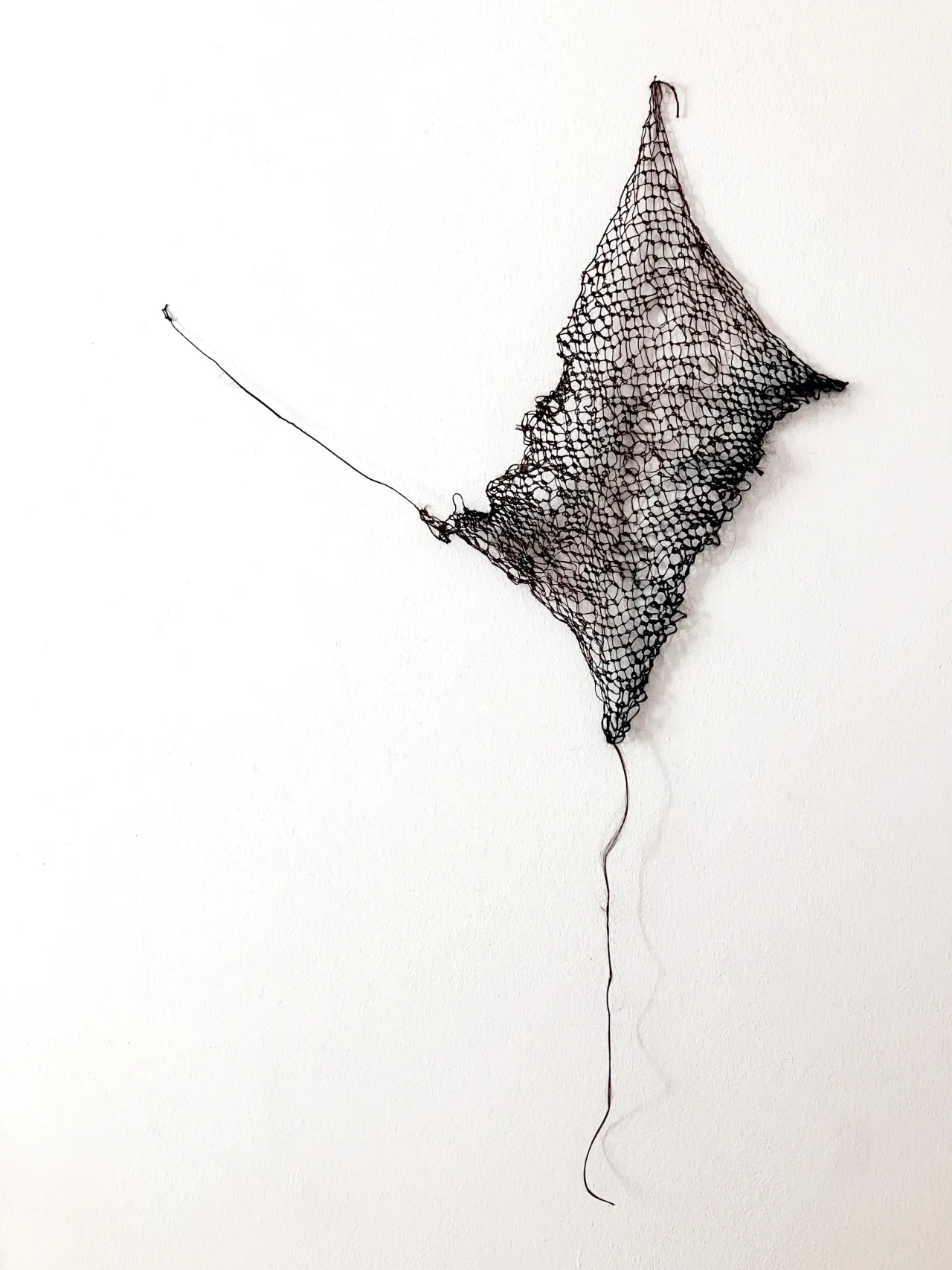 Net, Something to Hold - Net, Something to Hold - Hair - 2025